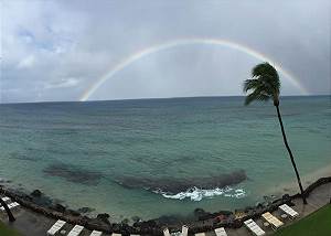 Kaleialoha #215 Kaleialoha #215