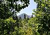 Excellent views of Mammoth Mountain.