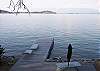 Viw to the Lake