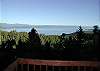 Late Afternoon from Deck &amp; front of home