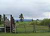 River Meadow Ranch Corrals