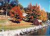 Lakeshore area in the fall