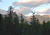 Swan Mountains