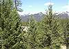 View from the Deck