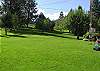 Spacious Park Like Back Yard