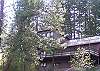 Humming Bird Haven in Spring