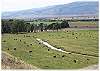 Home is located in the middle of a working cattle ranch