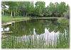 A large pond is in view right below the Barn - great for attracting wildlife!