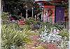 An amazing flower garden to enjoy!