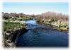 Private access to spring creek fishing!