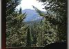 The view from the living room