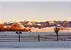 The view from the back porch.