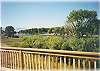Gorgeous river views from the back deck!