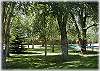 Beautiful backyard with plenty of shade trees