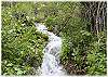 The rushing mountain creek behind the house and cabin