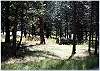 The great outdoors is right out your back door!