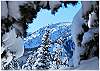Lots of snow at Bridger Bowl ski area