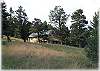 The wooded setting of the home provides privacy