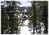 Peak a boo view through the trees