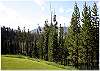 Tree lined property
