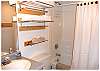 Lower level bathroom