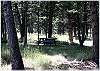 A picnic table for an afternoon lunch