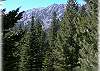 One of the views you'll enjoy hiking around the cabin