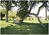 A great shady spot for a picnic