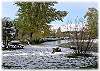 Great picnic spots down near the creek