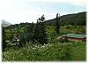 The home and guest cabin - gorgeous mountain setting!