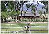 From the road, looking across the horse pasture to the house