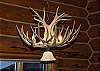 Antler chandelier in dining area