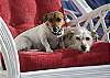 Enjoying the wicker chair on the wrap around porch.