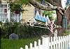 The yard is filled with wonderful delights for the eye- this fish sculpture is from Douglas the Fish Art man who's studio is right here on Tybee.