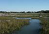 Another view of the marsh and tidal creek.