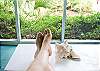 How's this for a fun picture! Sitting on the front porch overlooking the porch and relaxin'.  That's what Doodlebug Cottage is all about!