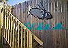 These pictures show new staircase to back apartment and more shots of the wonderful fully fenced private courtyard.
