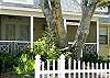 This is a closer view of the wonderful Water Oak tree and screened porch. The yard is very shady and keeps the whole cottage cool in the summer heat.