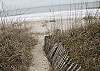 Old Love is only 99 steps to the beach! A short walk well worth the effort!