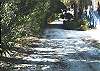 This is the lane our homes sit on. The lane dead ends at our homes so its very private.