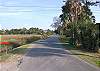 This is 12th Street- the walk to the beach. The street walks all along the salt marsh- ideal for watching herons, Eggrets and fiddler crabs while heading to the beach. The  walk to the beach is 10-14 minutes depending on how slow or fast you walk.