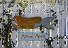Our mermaid was handcarved by a local artist and proudly hangs on our picket fence