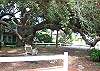 The yard offers a quiet place to unwind among huge live oak trees.