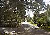 The home sits on the corner of 2nd Street and Miller Ave. The Atlantic Ocean is just 4 blocks straight ahead down 2nd Street and an easy 10 minute walk or 5 minute bike ride. The beach has been newly renourished and is wide even at high tide!