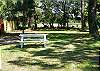 The back yard has a picnic table and swing. The swing is back at the end of the yard over looking the marsh.