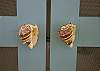 Kitchen pantry doors.  We take great pride in the details of this amazing home!