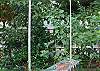 The cottage has a swing hanging from the big live oak tree. Fun for kids of all ages!
