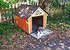 The fully fenced in back yard includes a dog house. This is recent visitor Patches enjoying his own place!