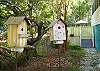 Even birds are welcome here in our cheerful cottage!