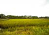 We overlook the magical salt marsh. Bird watching, the sounds of the oysters clacking, the wind blowing thru the spartina grass- all parts of the sounds of Crabby Pirate